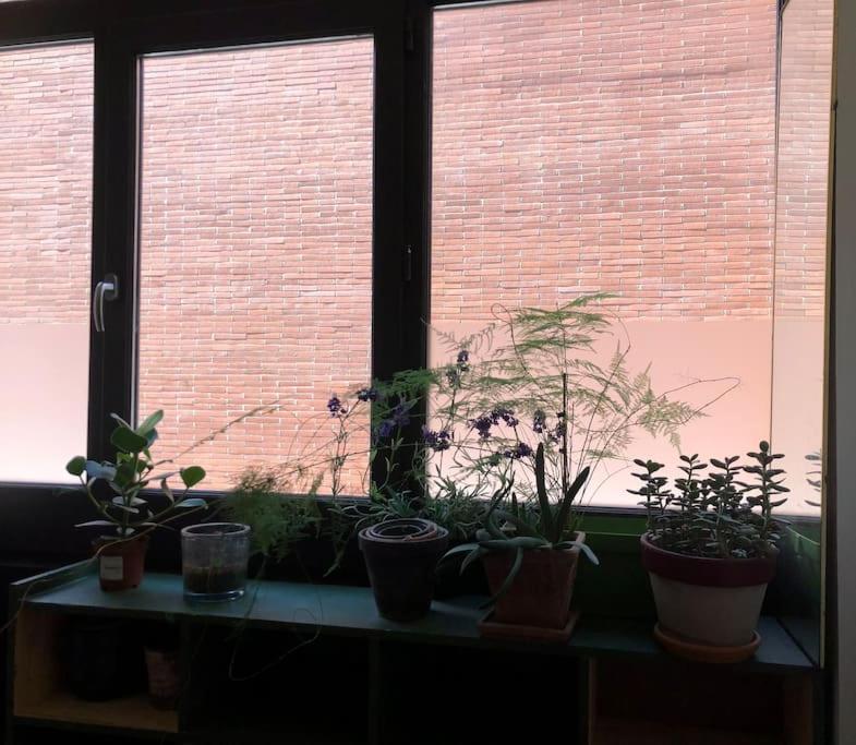 Logement De Charme Aux Carmes Тулуза Екстер'єр фото